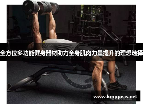 全方位多功能健身器材助力全身肌肉力量提升的理想选择