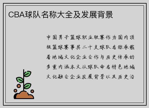 CBA球队名称大全及发展背景